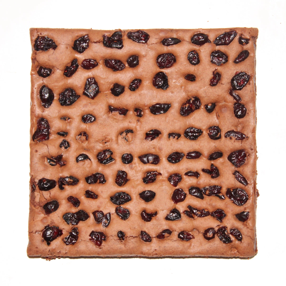 Cranberry Brownies chocolate-5