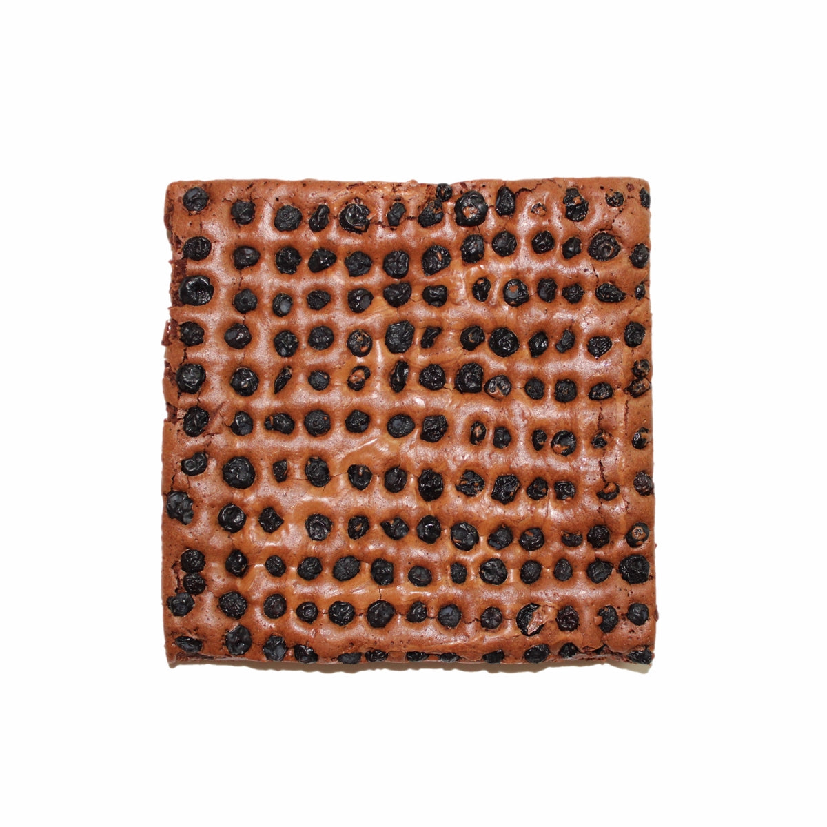 Blueberry chocolate brownie--4